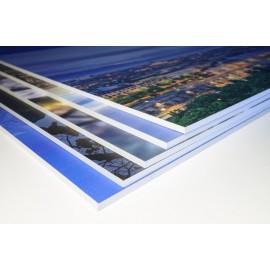 Forex Dekota Pvc Baskı